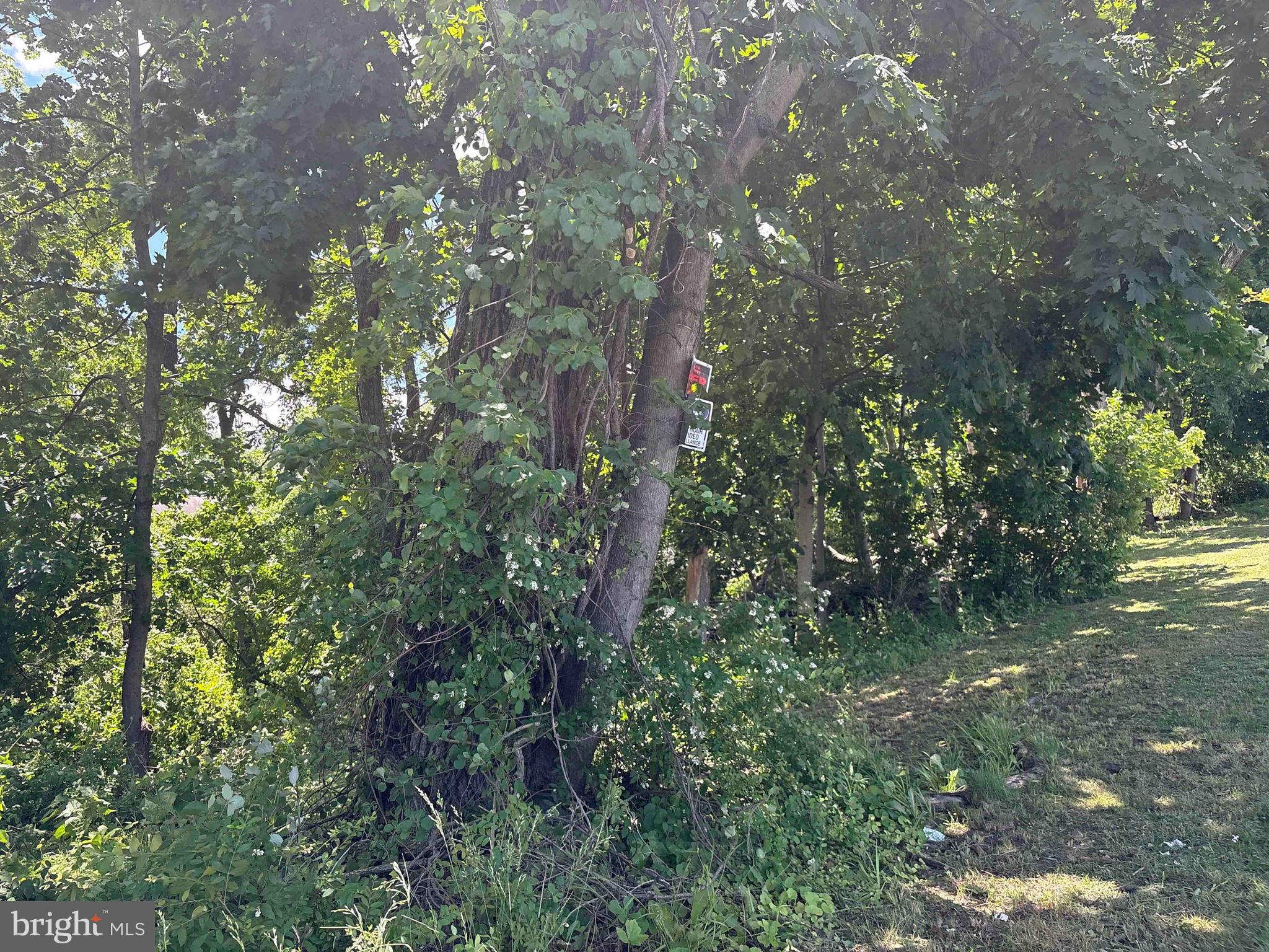 Recreation piece of property, .70 acre lot with a deep slope, could be filled in and possible be used as a building lot but we are not selling as a building lot.  All wooded with mature timber.  Great investment or maybe further sub-divided with many loads of fill. Sign will be posted on Saturday 6-12-2026