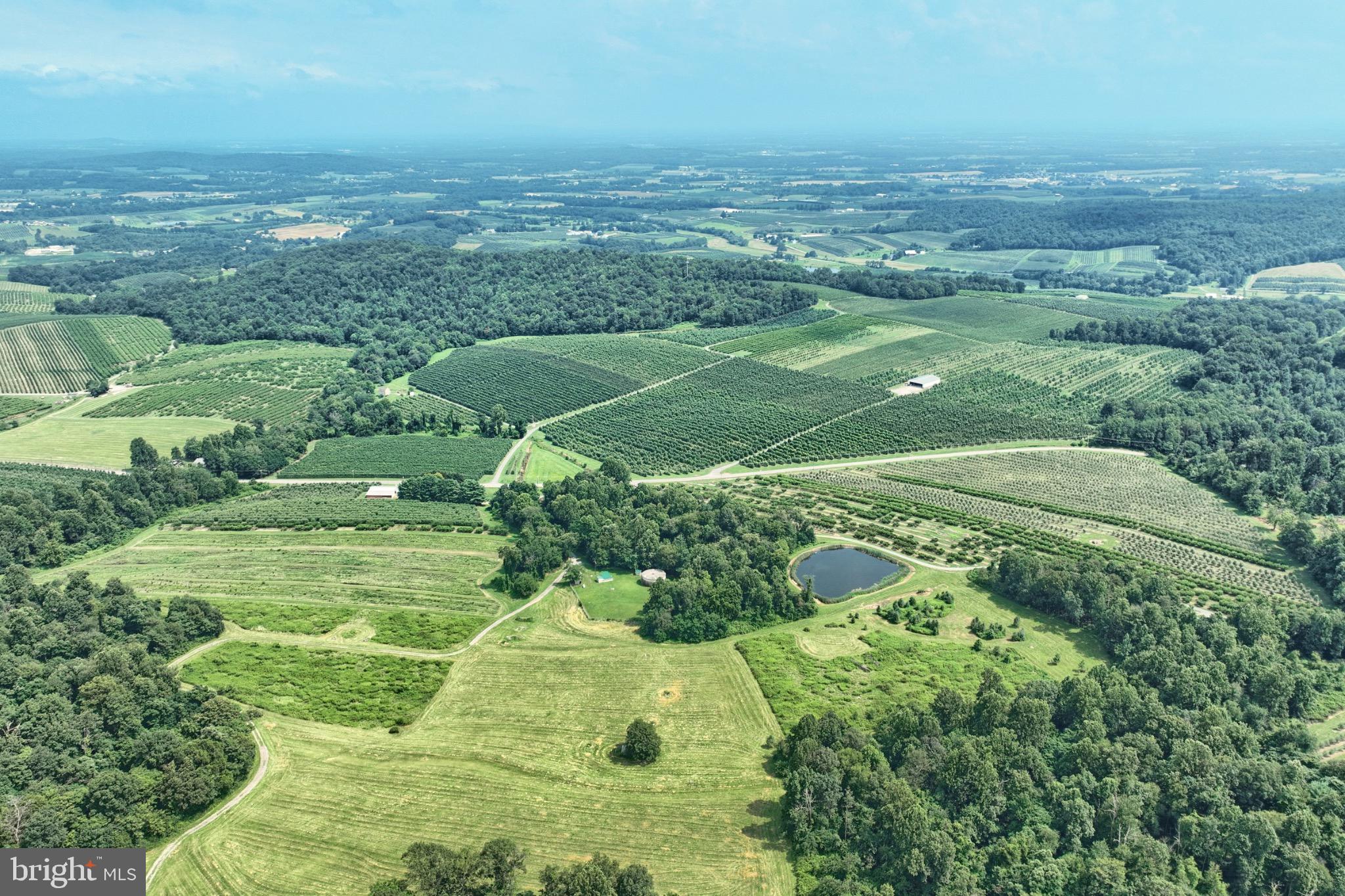 Established Fruit Farm in Upper Adams.  Property offers over 100 acres with farm house and outbuildings.