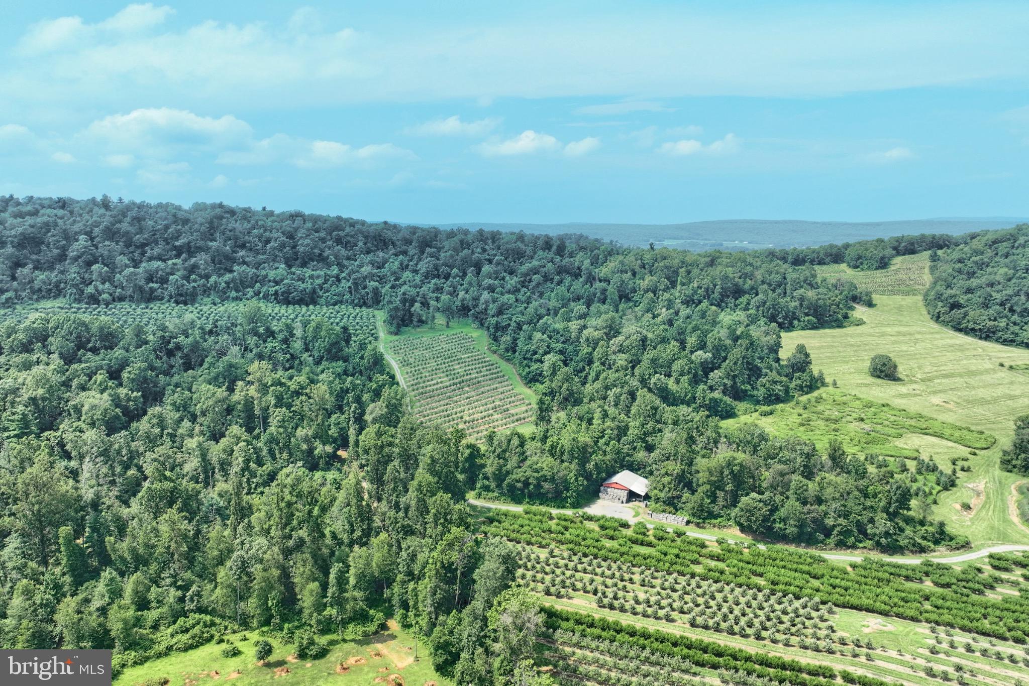 RURAL - Farm