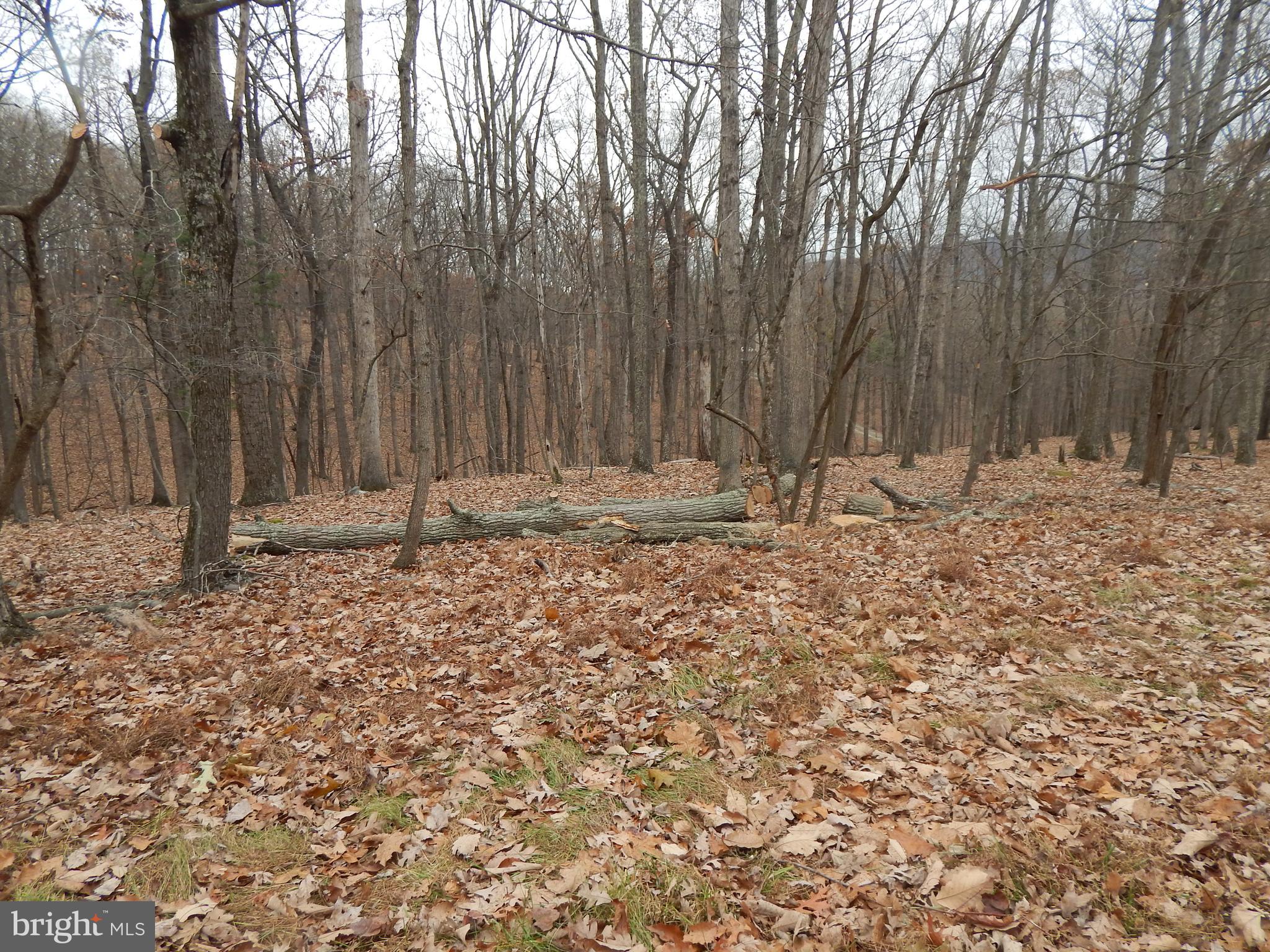 RIVER RIDGE - Land