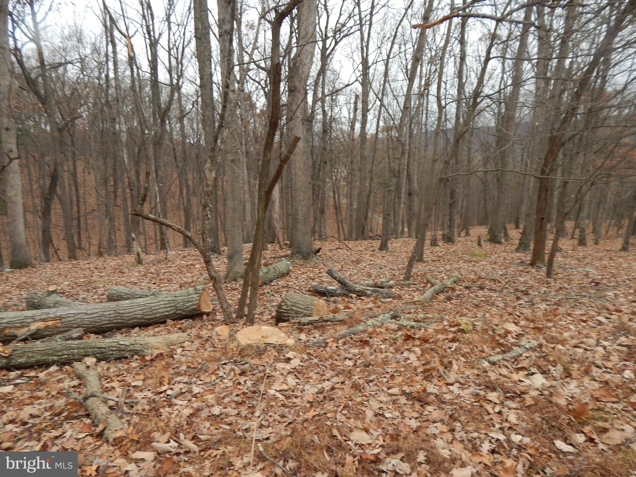 RIVER RIDGE - Land