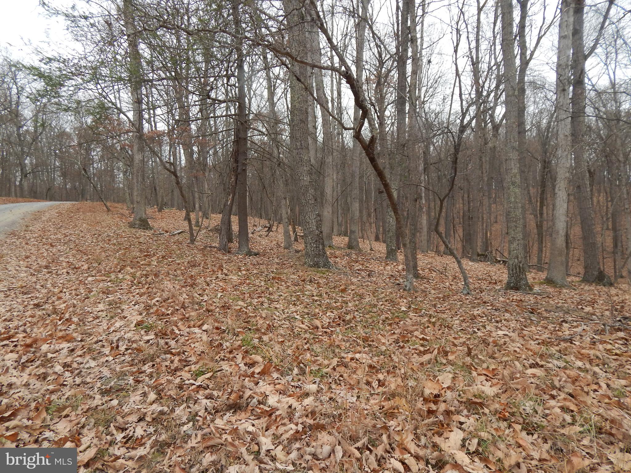 RIVER RIDGE - Land