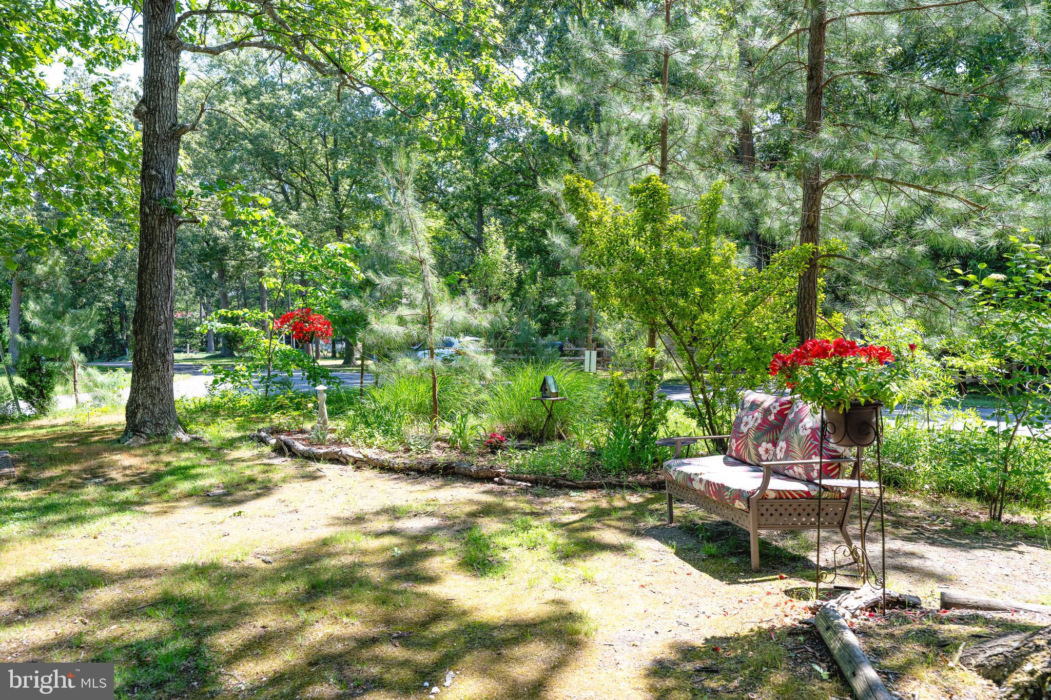 PINEY GLADE - Residential
