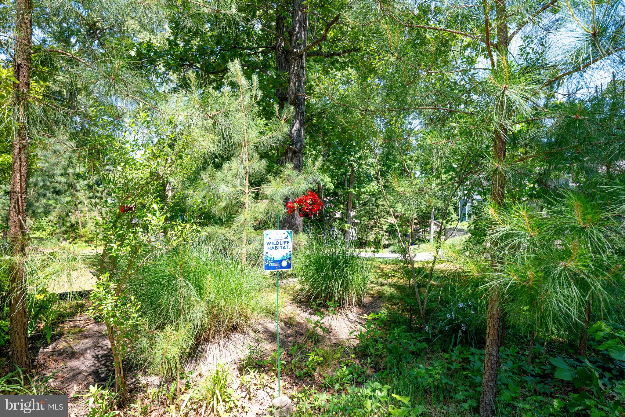 PINEY GLADE - Residential