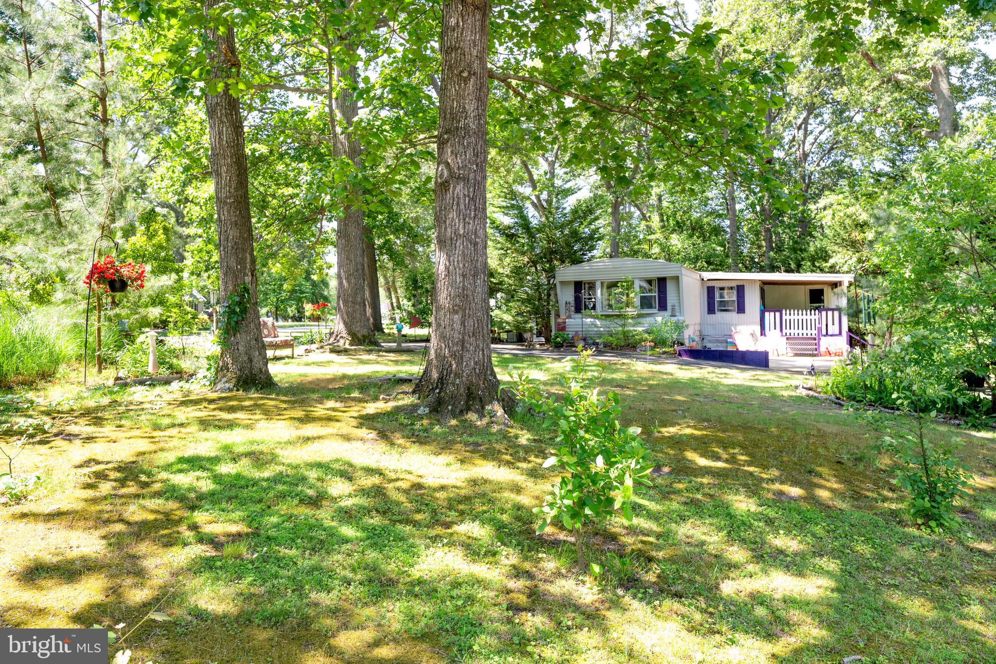 PINEY GLADE - Residential