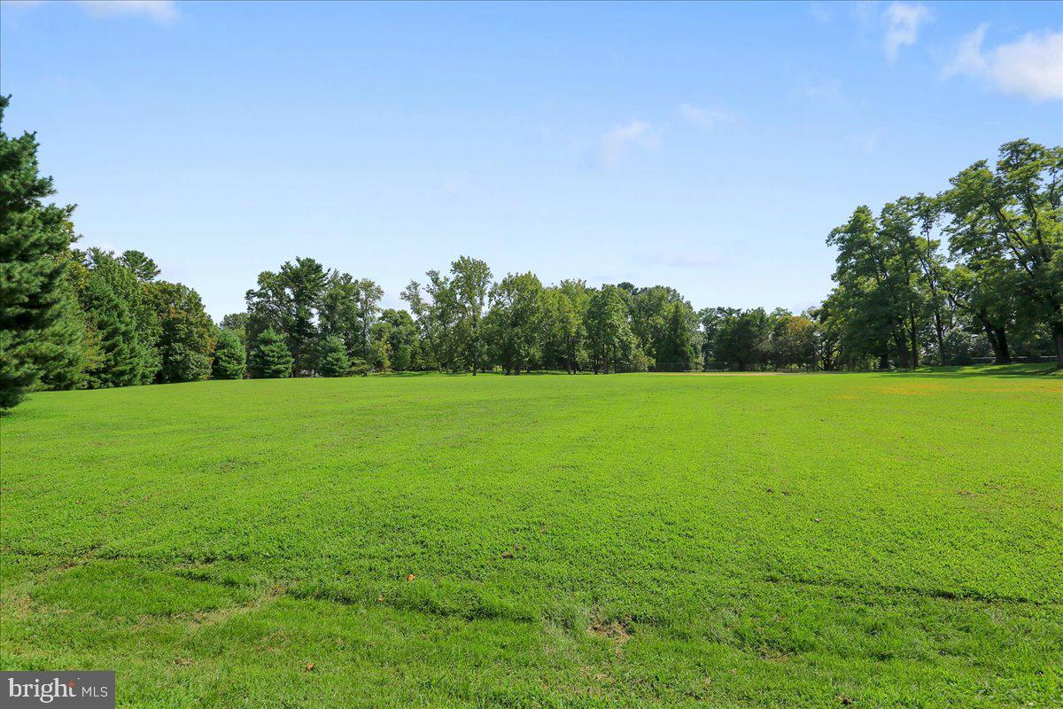 ROSEMARY HILLS - Residential