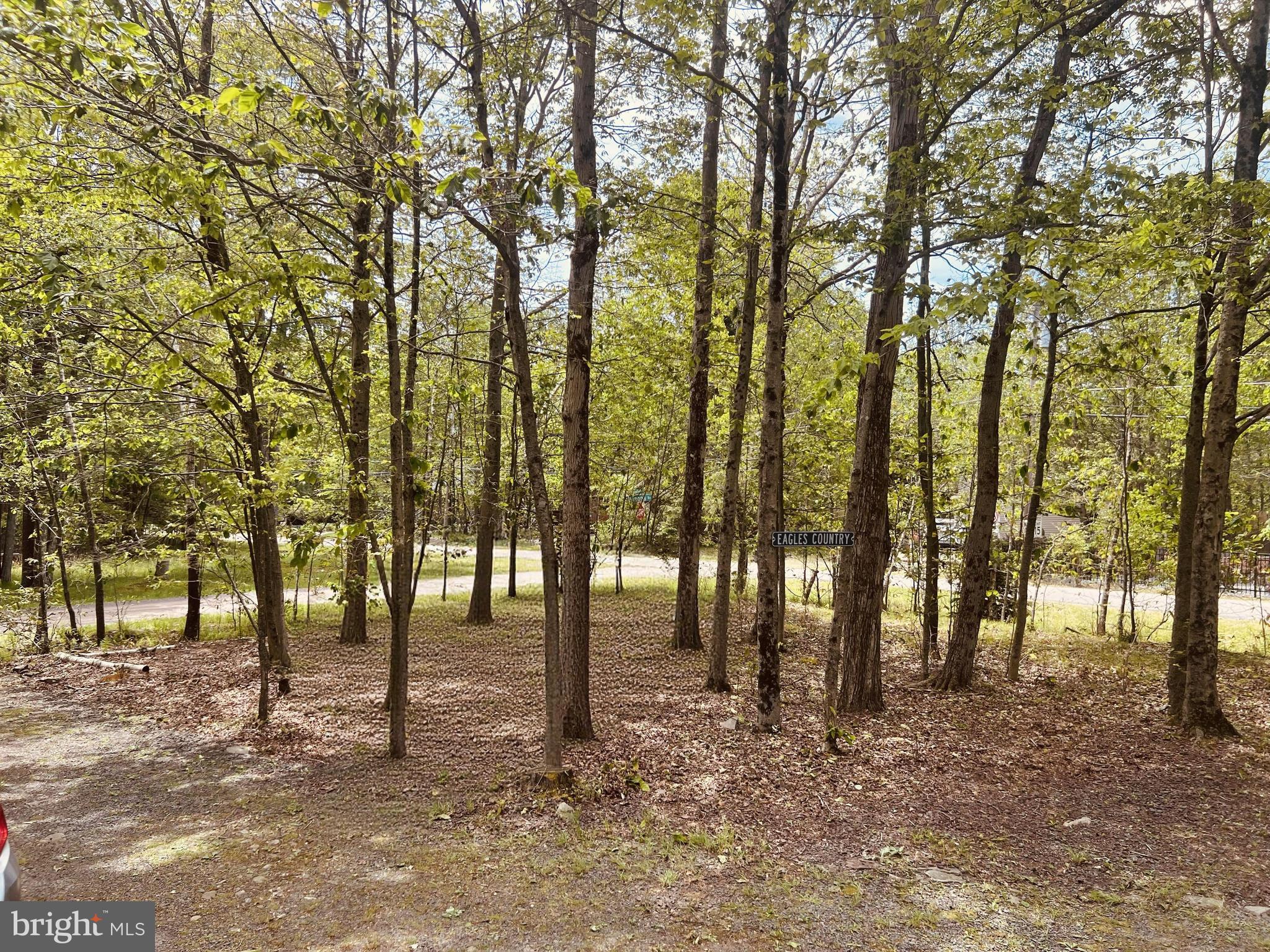 ARROWHEAD LAKE - Residential