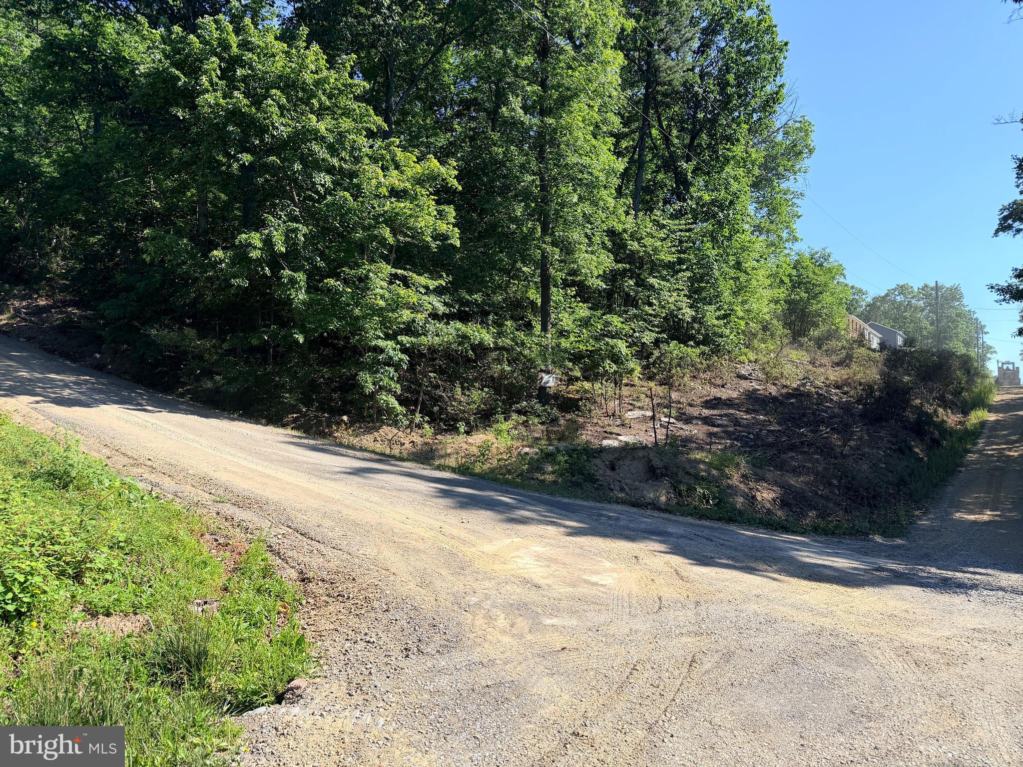 .31 acre wooded lot on an incline. No septic or well tests have been done. Seller doesn't know if it's buildable. Drive by any time to show.