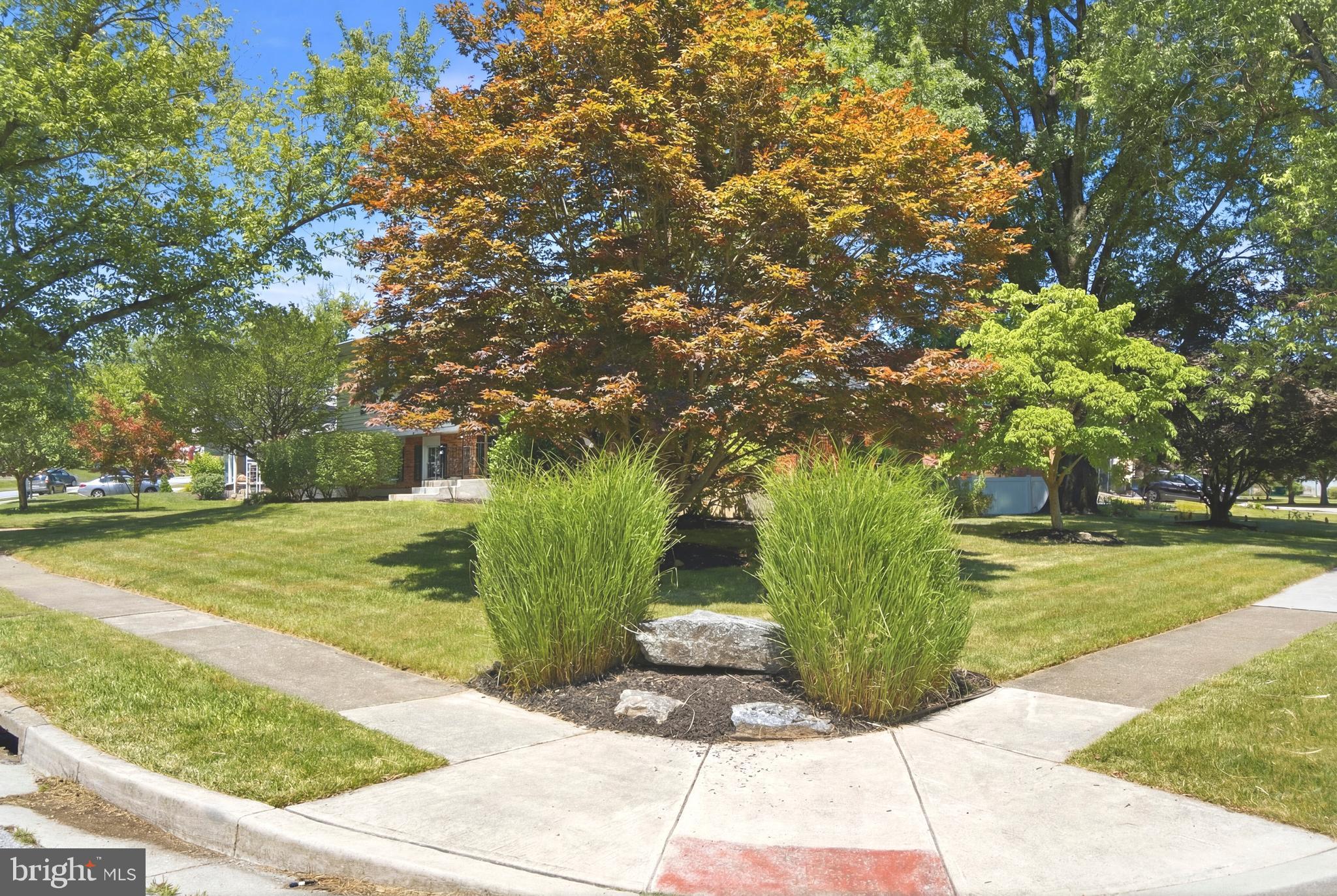 SPRINGLAKE - Residential