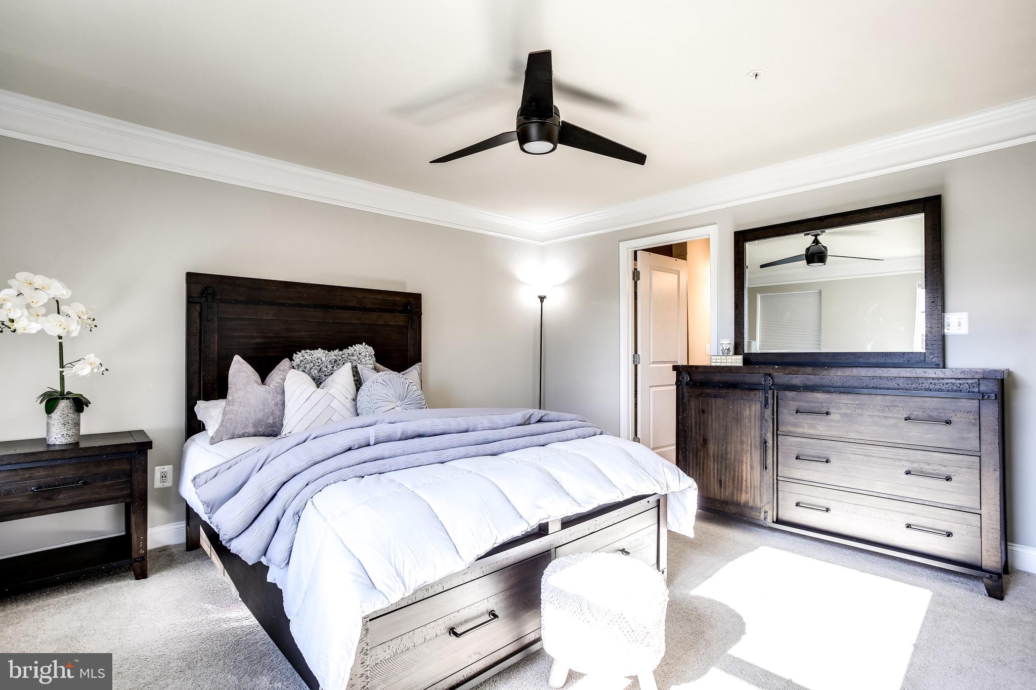 SPRING CREEK - Residential Lease