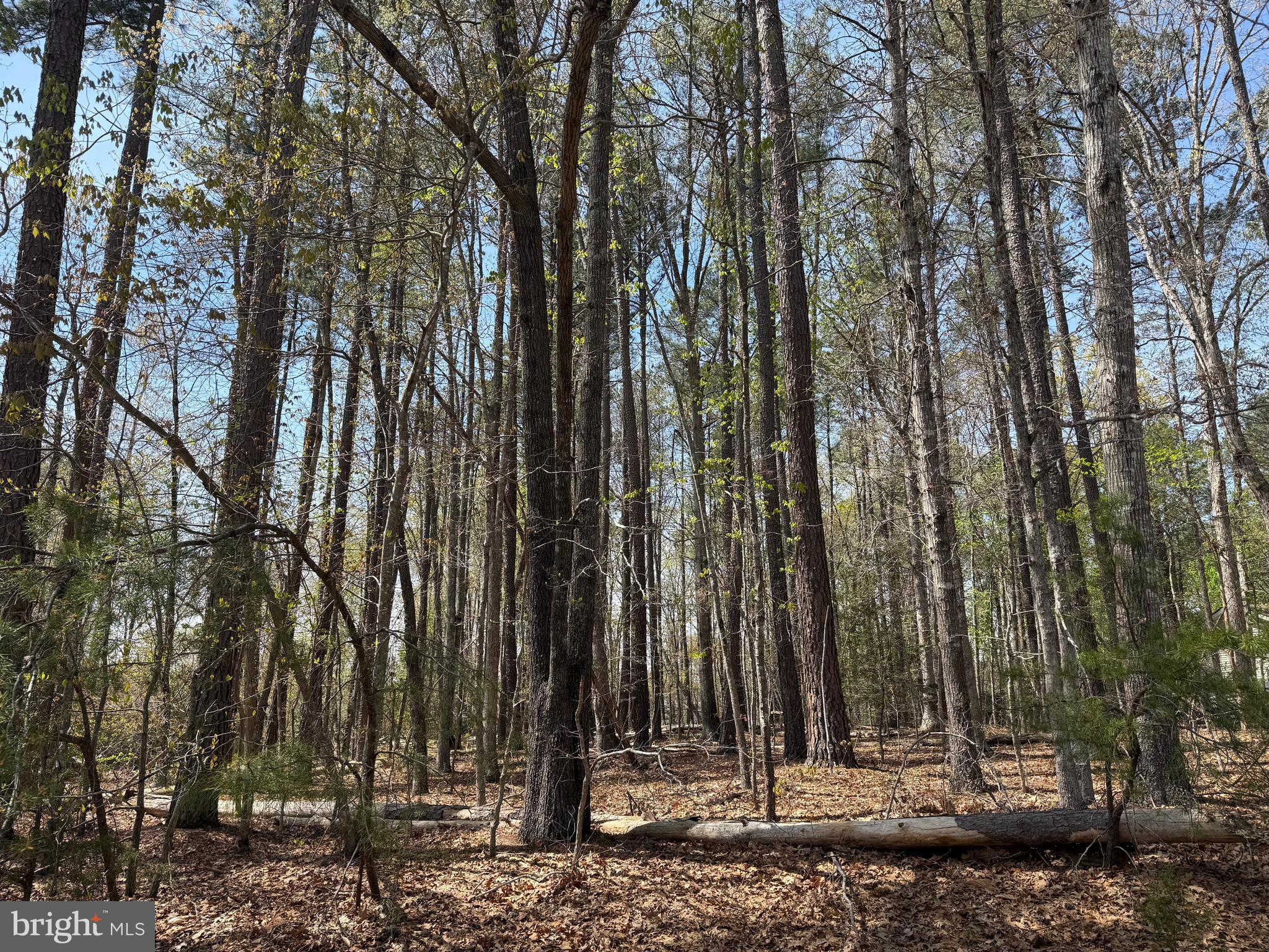 Rare opportunity to build on a level, wooded,  .93-acre lot in one of Lake Anna’s most desirable neighborhoods.  The gated community of Windwood Coves offers exclusive amenities like no other; Courts for tennis, pickleball, and basketball, a very large private community beach, volleyball, a playground w/ swing set,  picnic pavilion, ample parking and boat launch. Central location by land AND water allows excellent access to all the lake has to offer. Grocery, vet, local dining, breweries and wineries are just minutes away. With High-Speed Fiber Internet available, the "work-from-the-lake" dream can be reality. Don’t miss your chance to secure one of the few remaining buildable lots in this prime location! Assigned BOAT SLIP in main marina.
