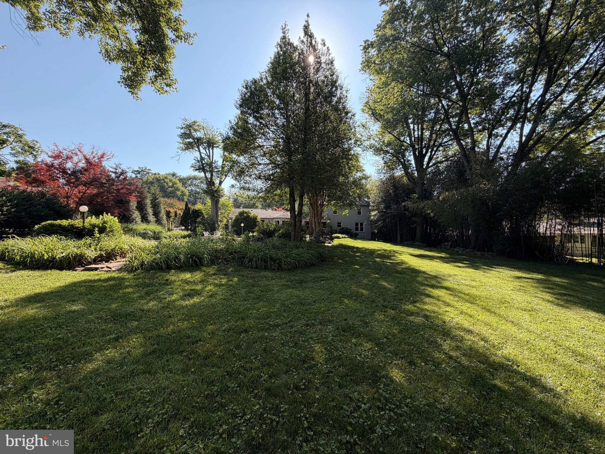 ANCIENT OAK - Residential