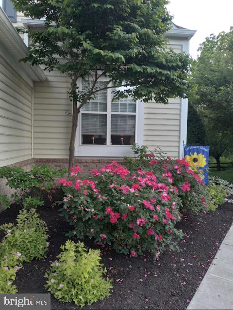 DOYLESTOWN STATION - Residential