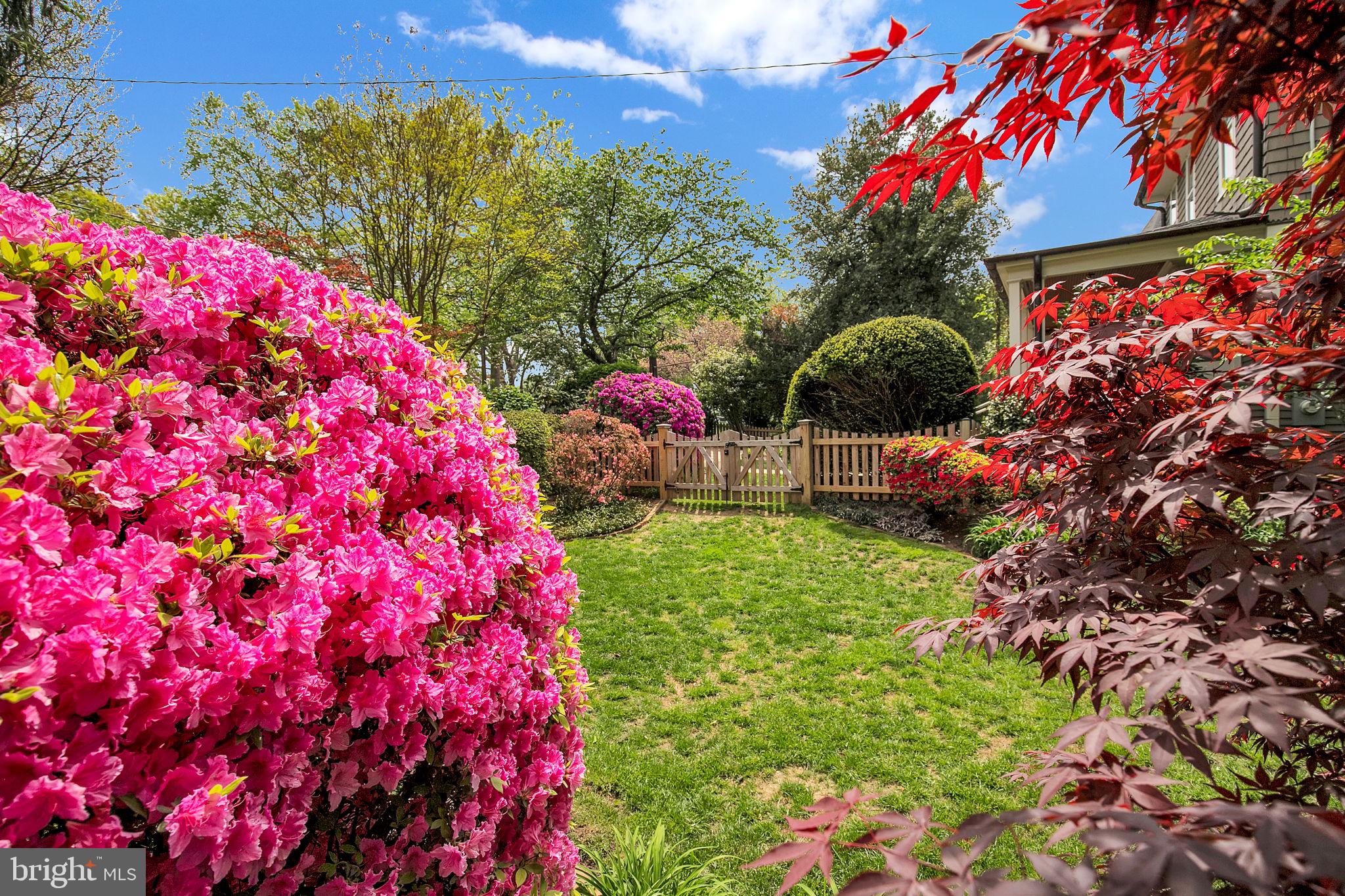 KENSINGTON - Residential