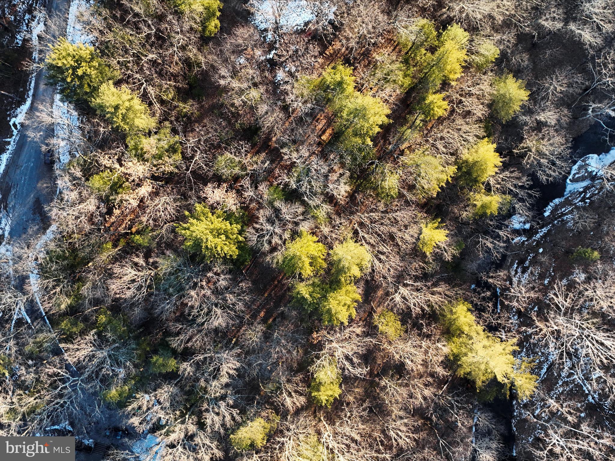 OAK FOREST - Land