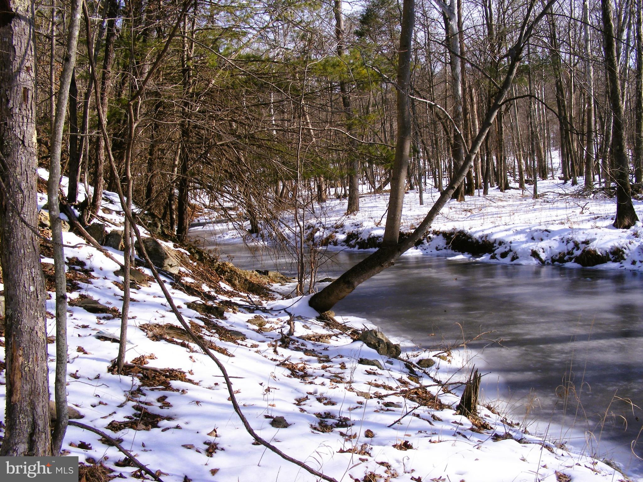 OAK FOREST - Land