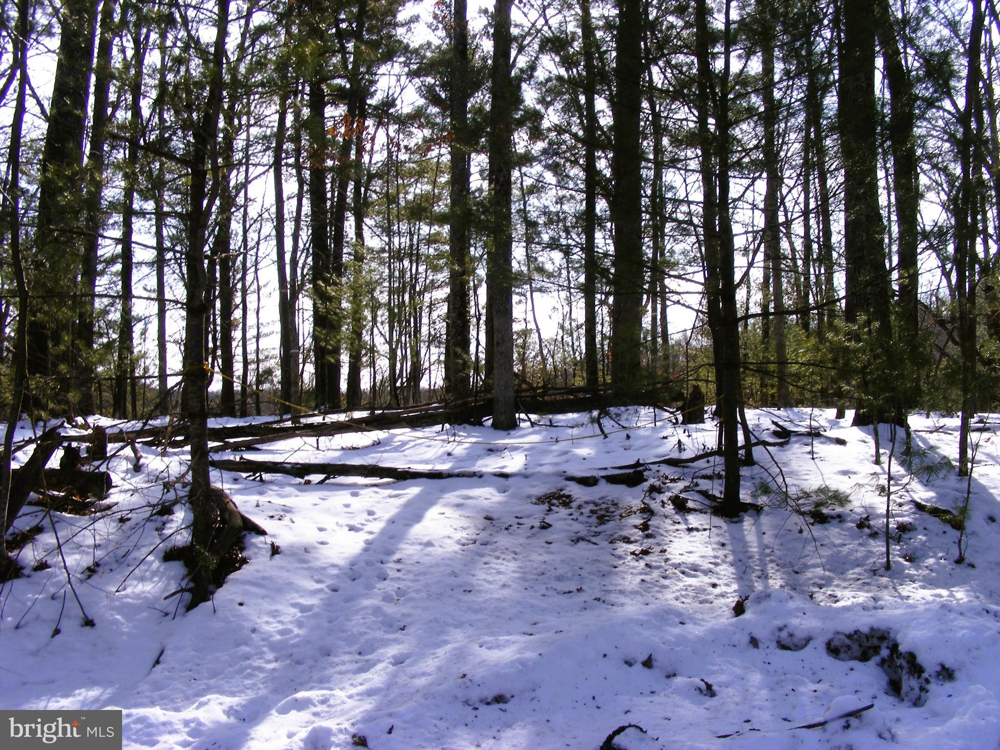 OAK FOREST - Land
