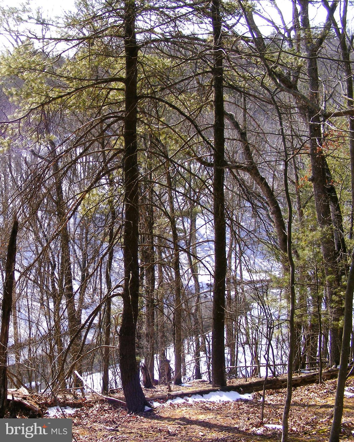 OAK FOREST - Land
