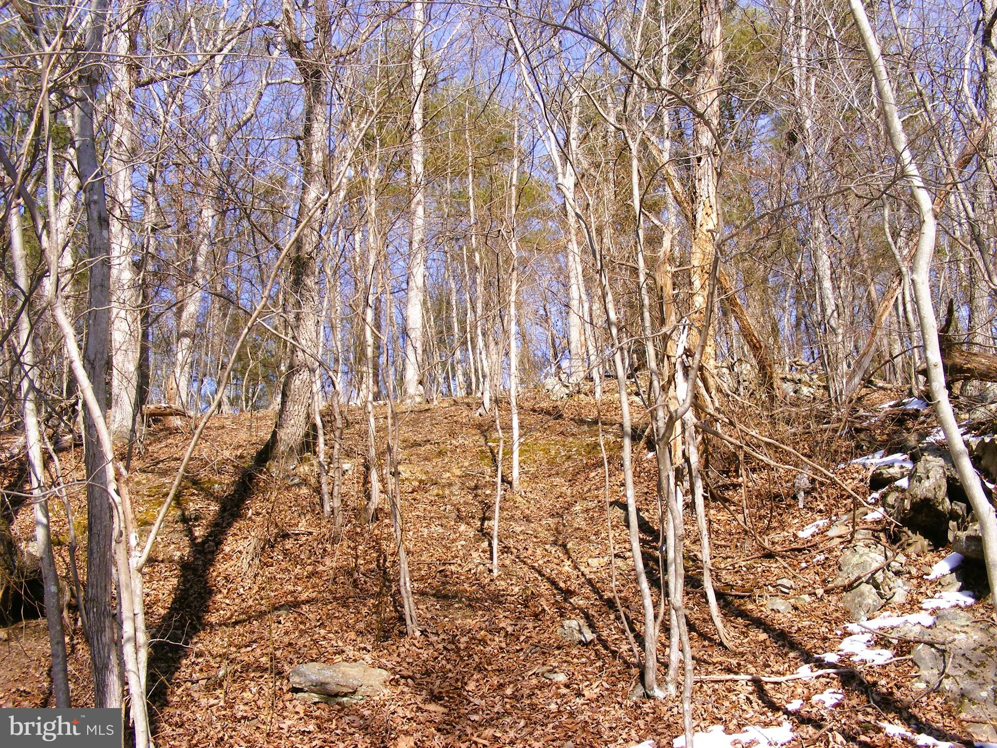 OAK FOREST - Land