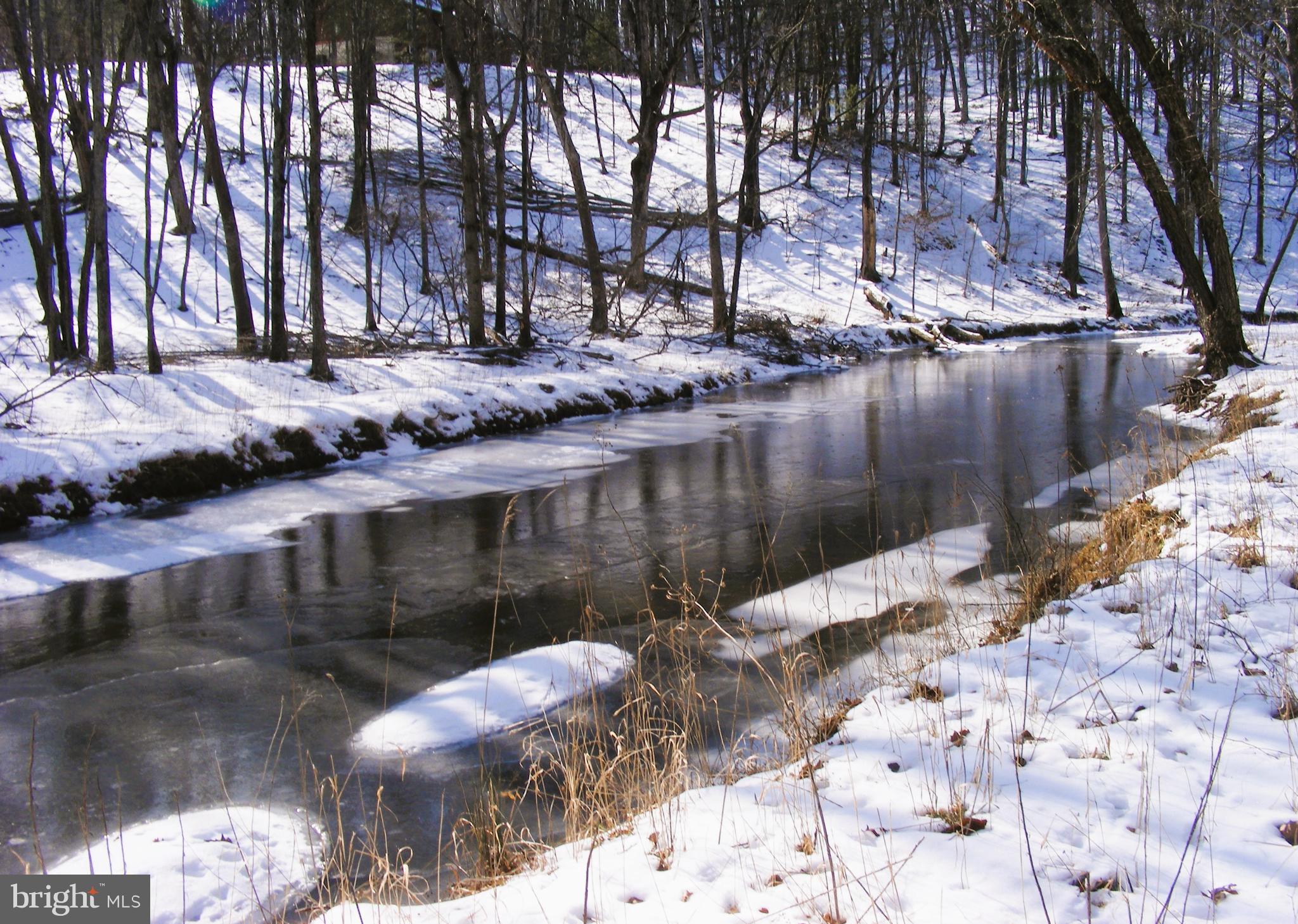 ESCAPE TO THIS BEAUTIFUL PROPERTY LOCATED IN  MORGAN COUNTY WV. IMAGINE THE TRANQUILITY OF BEING SURRONDED BY NATURE AND WILDLIFE. THIS BEAUTIFUL 2.51 ACRE LOT BACKS TO SLEEPY CREEK, WHERE YOU CAN SPEND YOUR DAYS RELAXING IN THE COOL WATER , FISHING OR ENJOYING THE MOUNTAIN VIEWS. THE PROPERTY IS LOCATED ON A CUL DE SAC, PROVIDING FURTHER PRIVACY. THE  LOT FRONTAGE IS LEVEL  AND SLOPES DOWN TO SLEEPY CREEK.  YOU WOULD BE A SHORT DISTANCE TO BOTH BERKELEY SPRINGS, WV AND WINCHESTER, VA. YOU DO NOT WANT TO MISS THIS OPPORTUNITY!