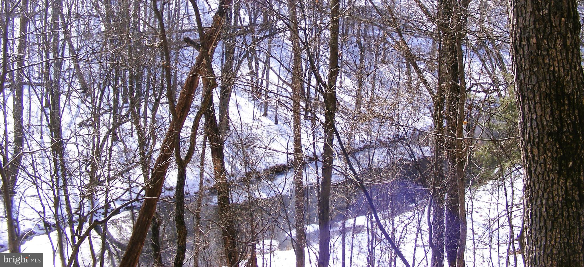 OAK FOREST - Land