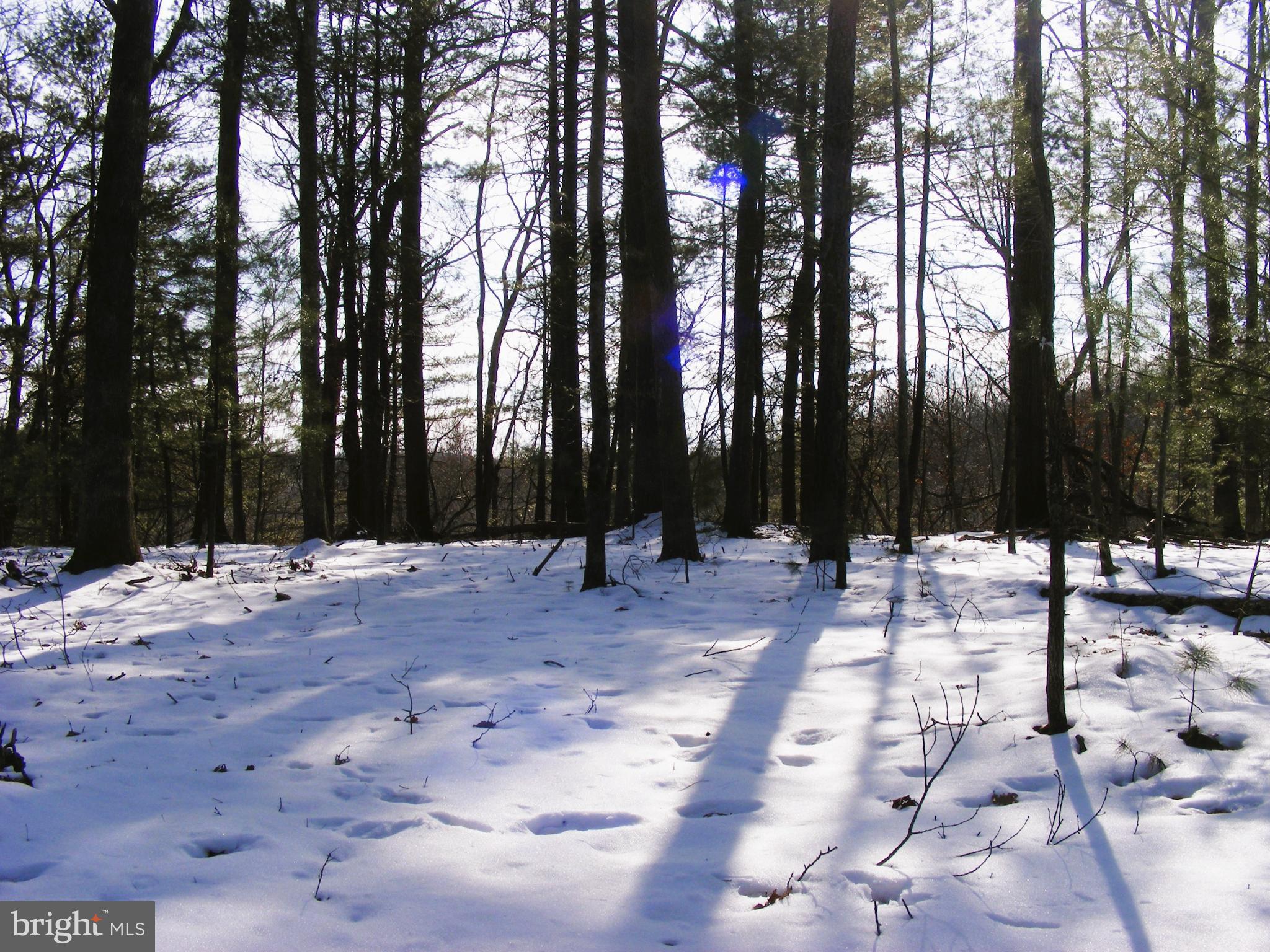 OAK FOREST - Land