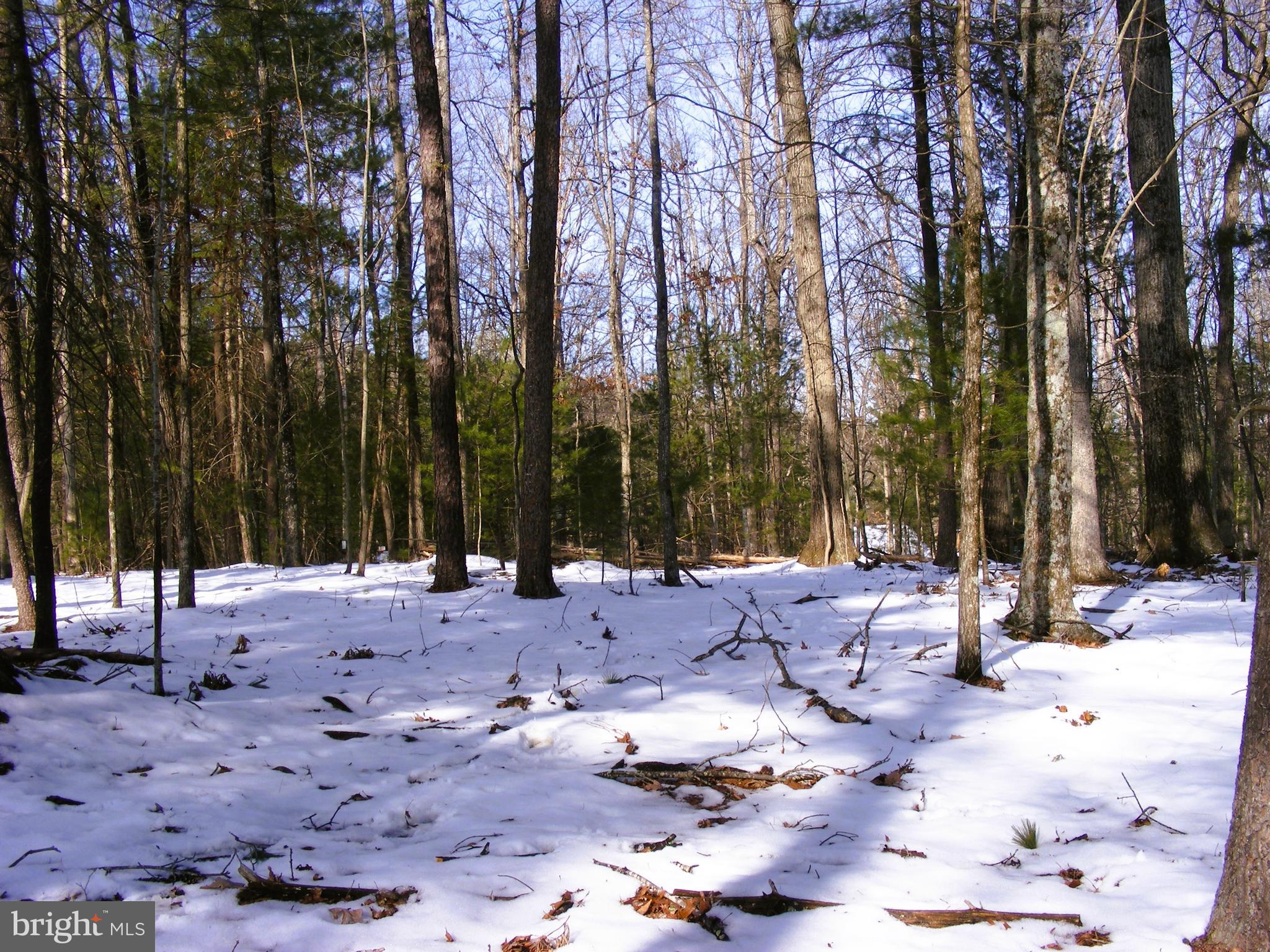 OAK FOREST - Land
