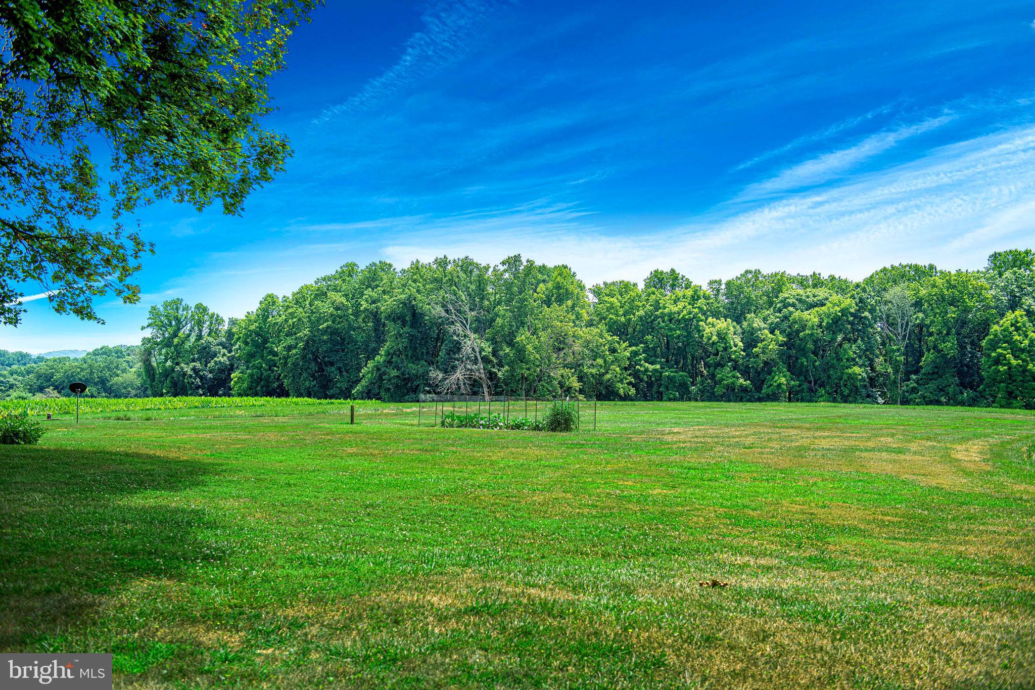 FOREST HILL - Residential