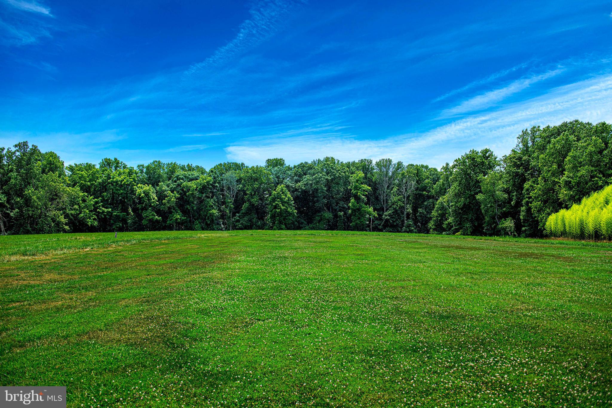 FOREST HILL - Residential