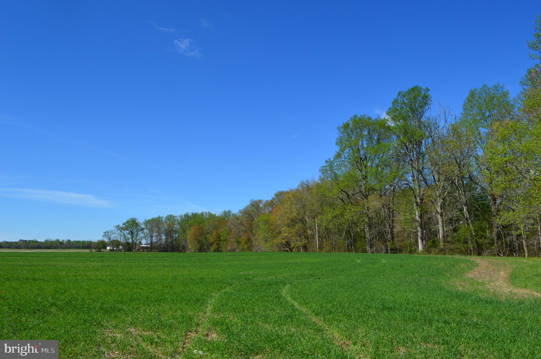 TRAPPE - Land