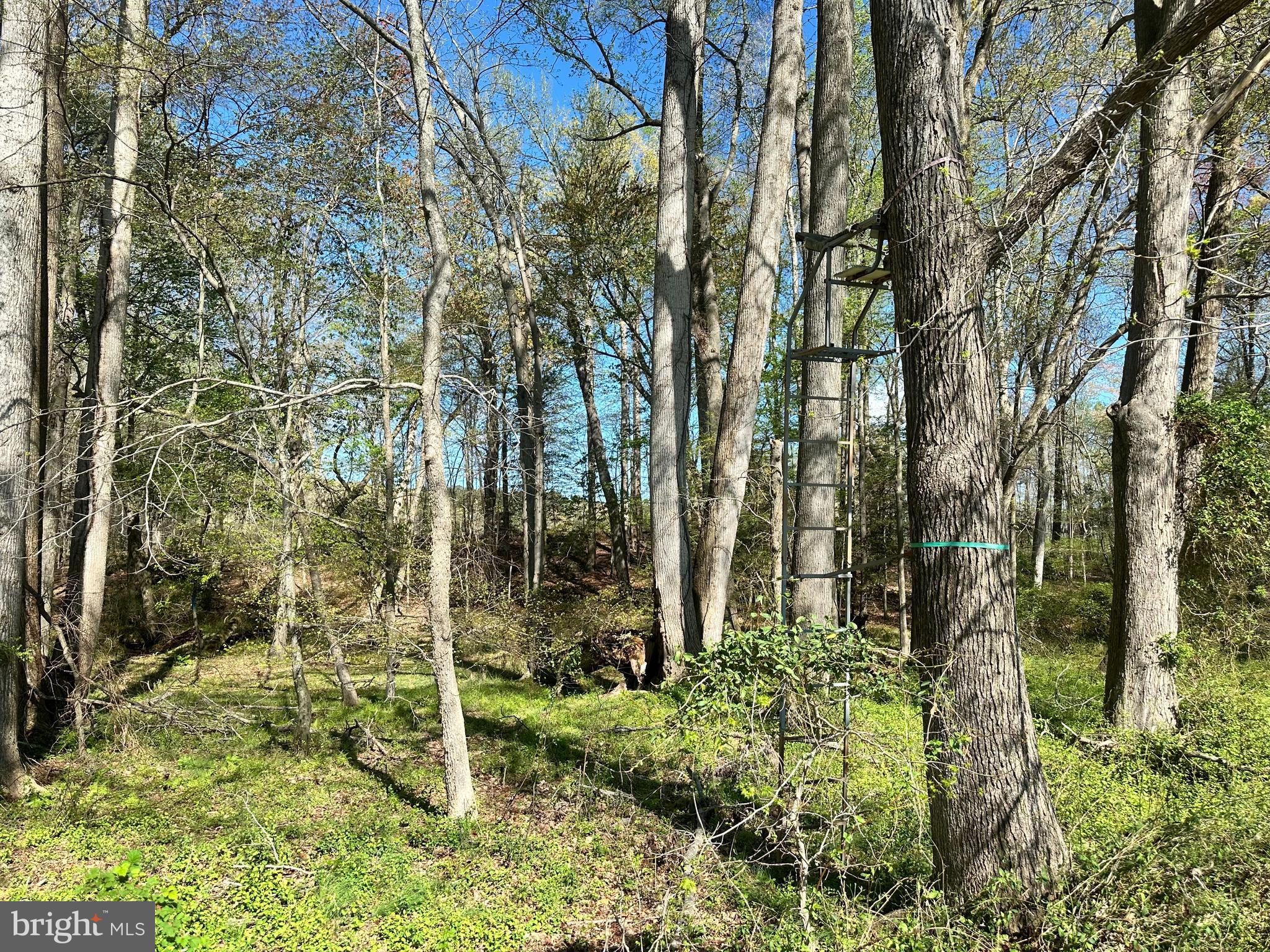 TRAPPE - Land