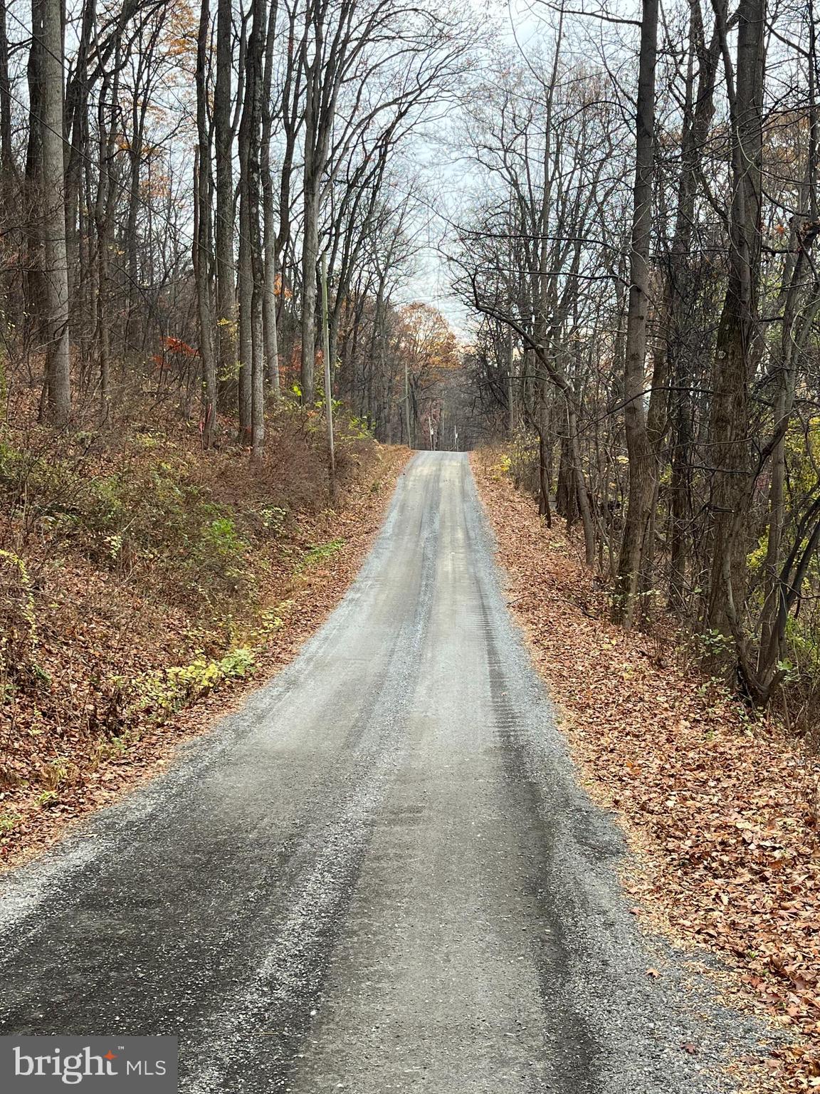 GLENWOOD FOREST - Land