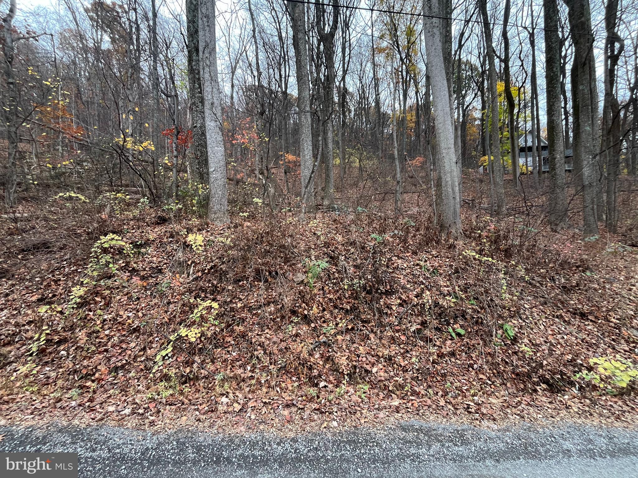 GLENWOOD FOREST - Land