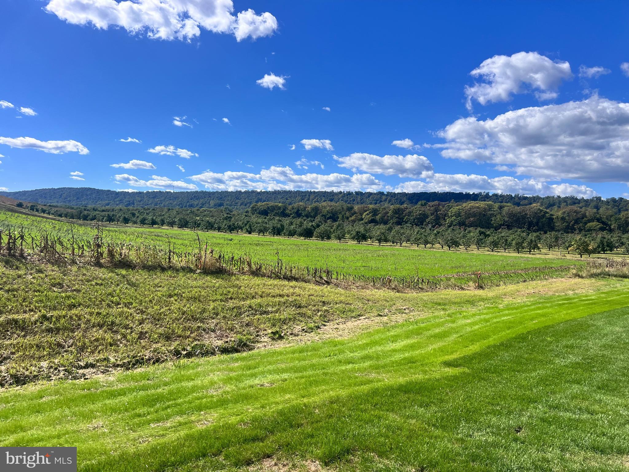 RED HILL - Residential