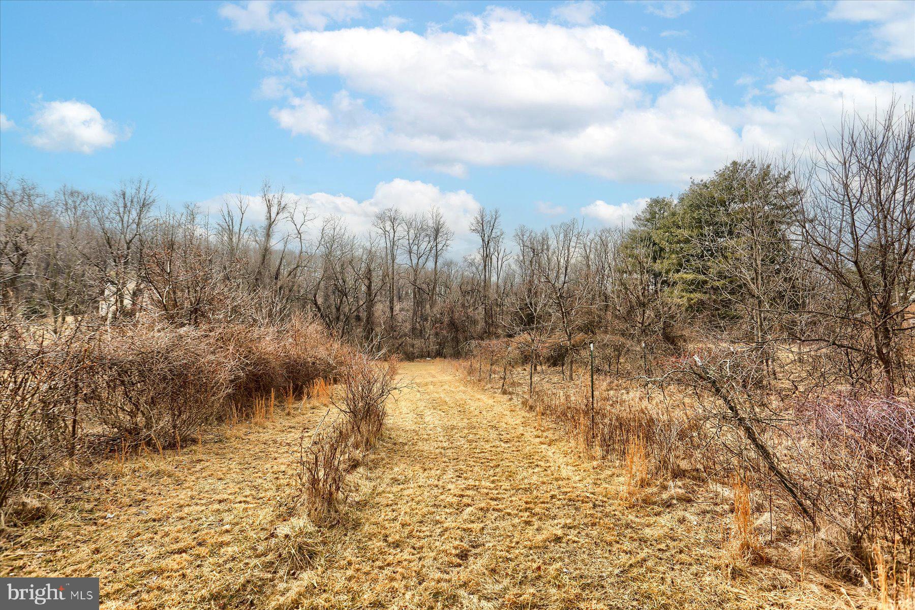 This prime location allows you to build your dream home with no HOA restrictions or fees!  With just under 6 acres this flag shaped lot offers you privacy!  Property is mostly wooded with a babbling creek along the backside.  Electric on site.  Seller is in the process of updating the perk/probe.