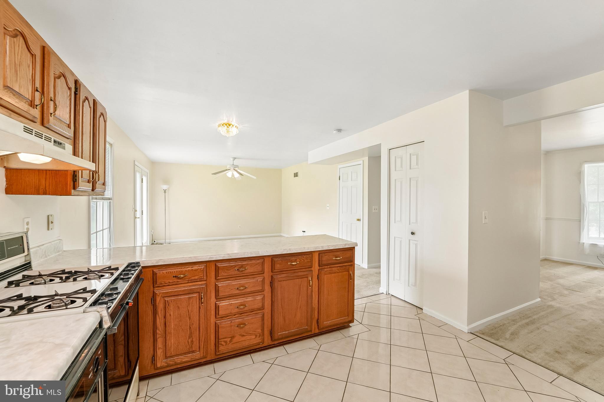BRAMPTON HILLS - Residential