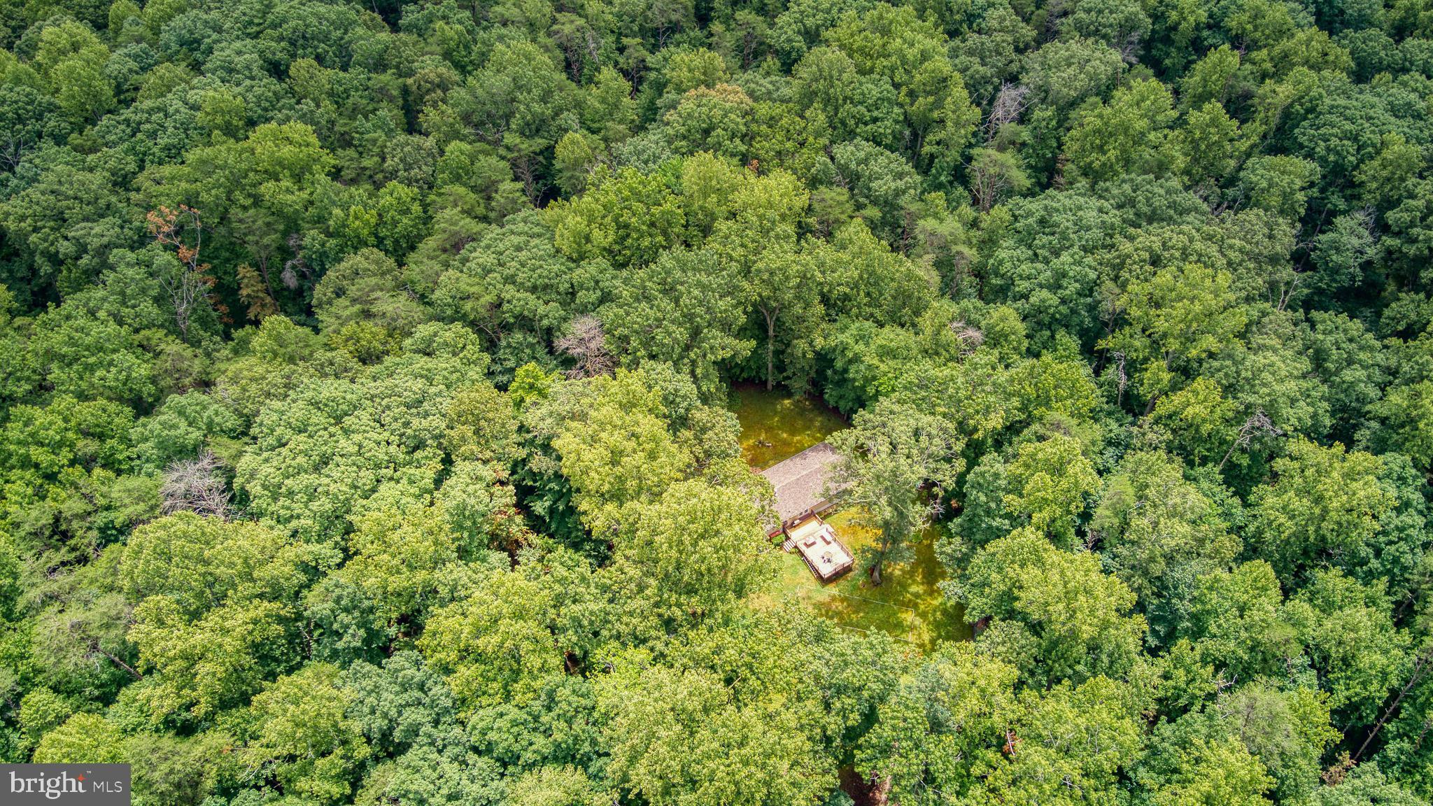 FOREST WALK - Residential