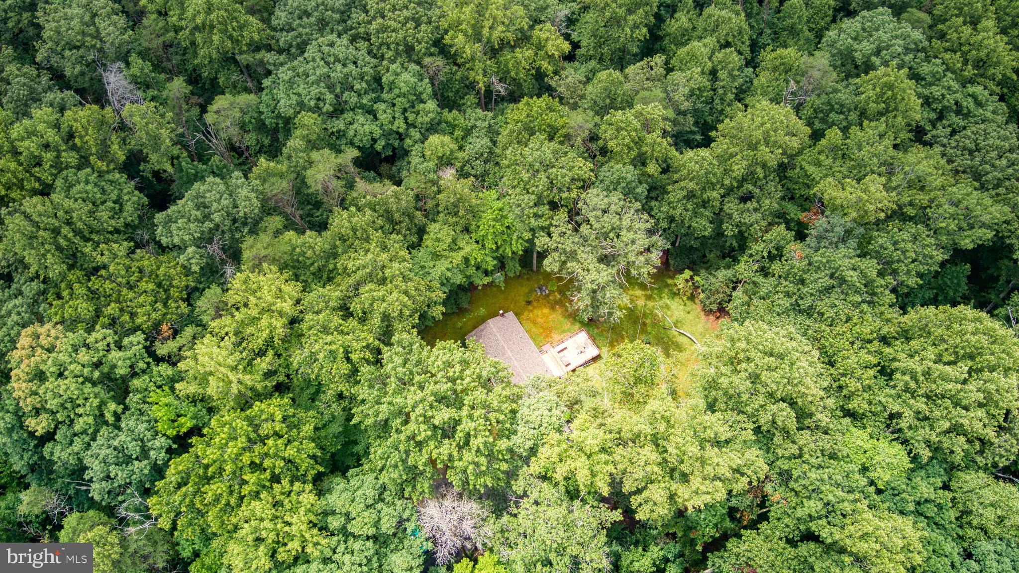 FOREST WALK - Residential