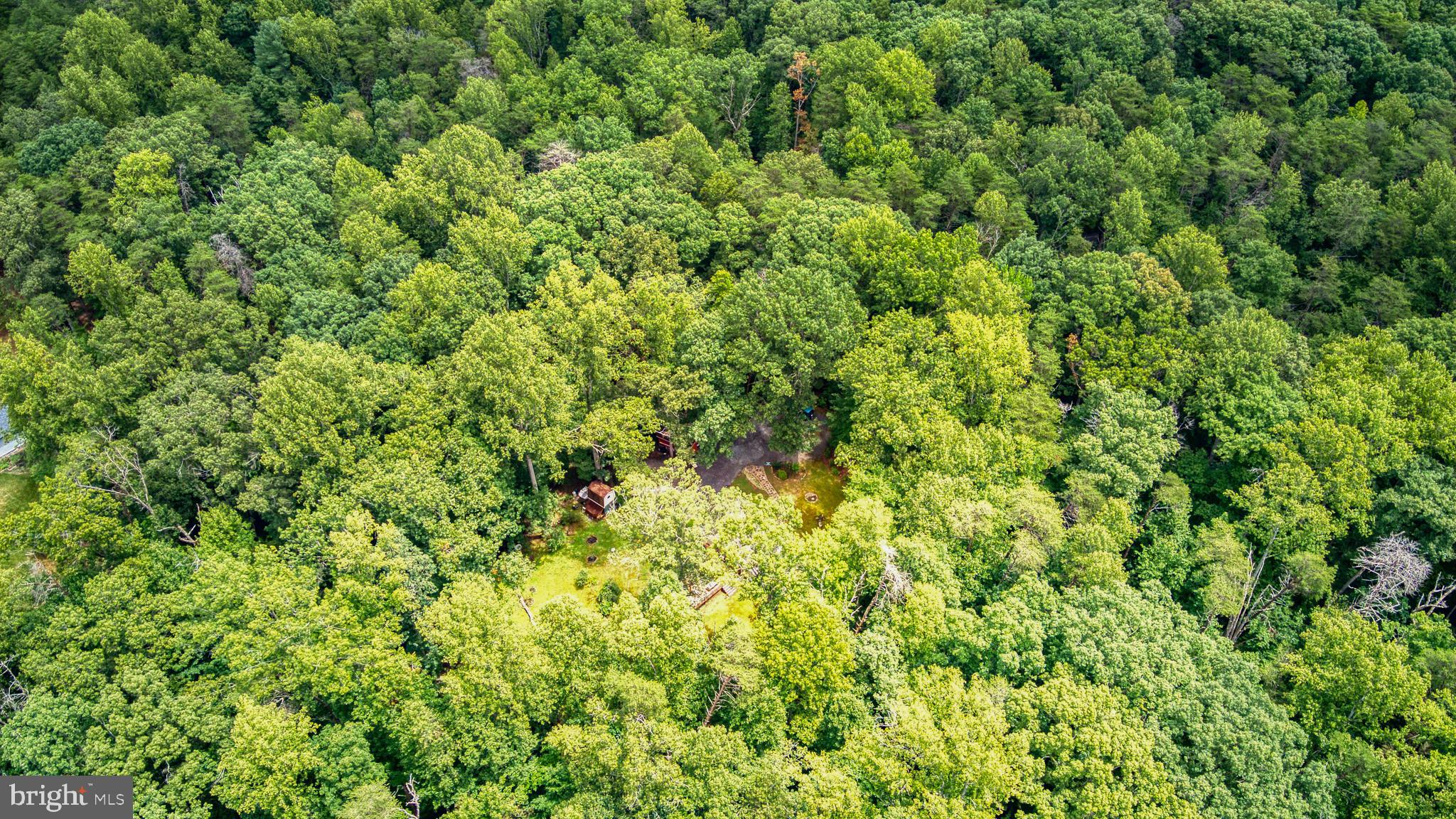 FOREST WALK - Residential
