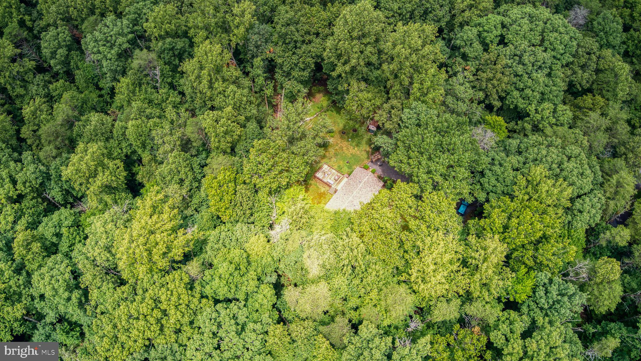FOREST WALK - Residential