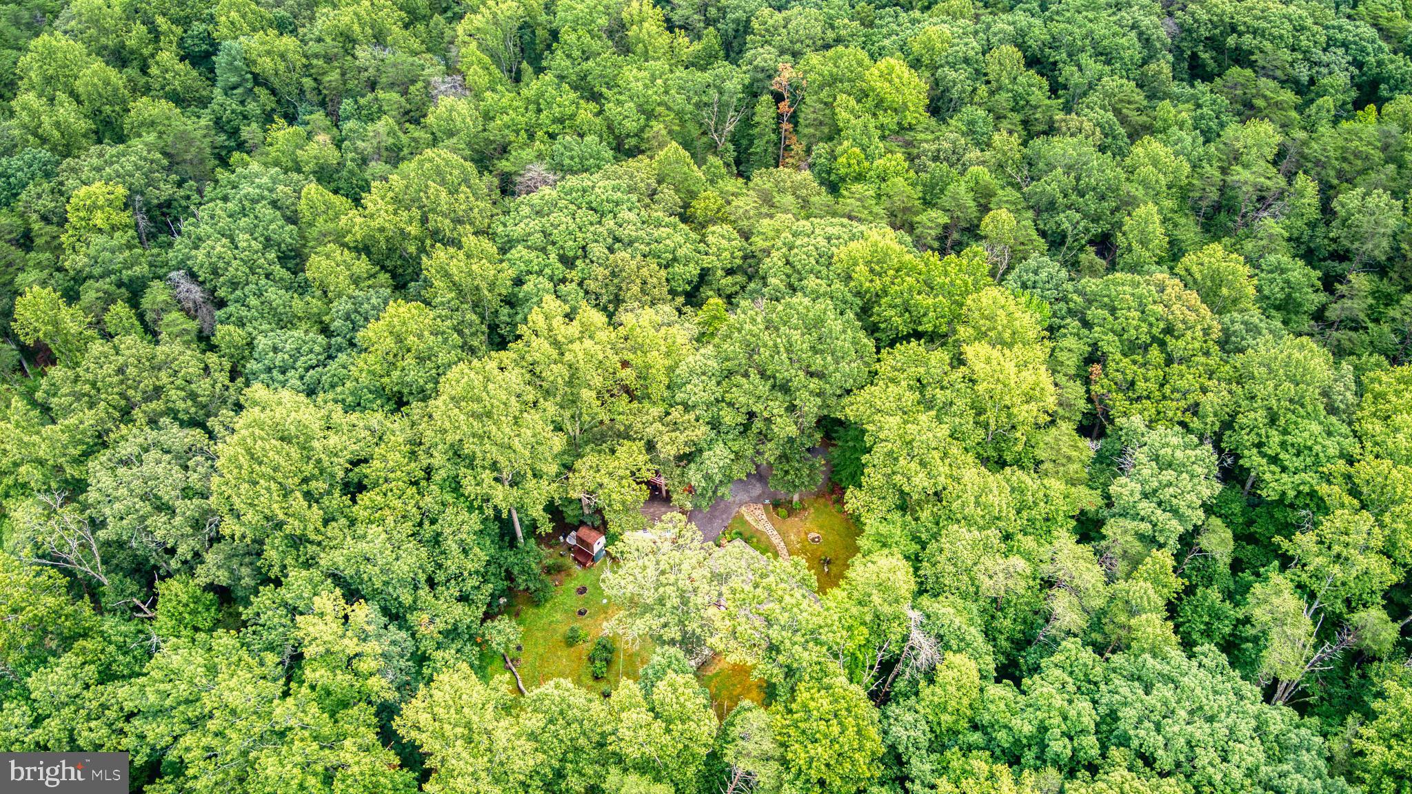 FOREST WALK - Residential