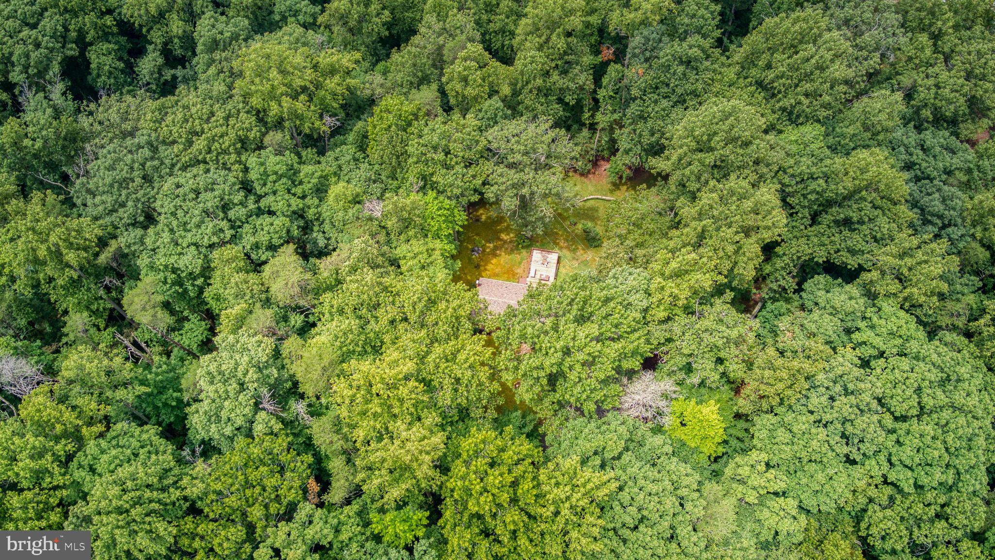 FOREST WALK - Residential