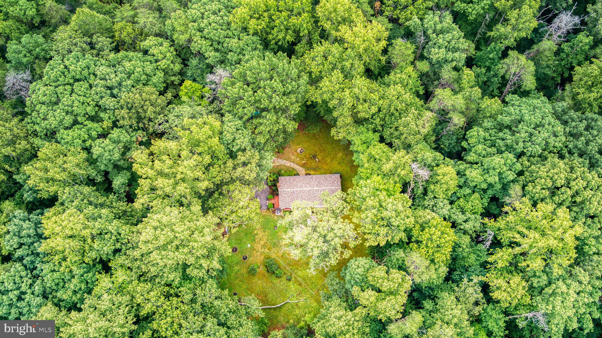 FOREST WALK - Residential