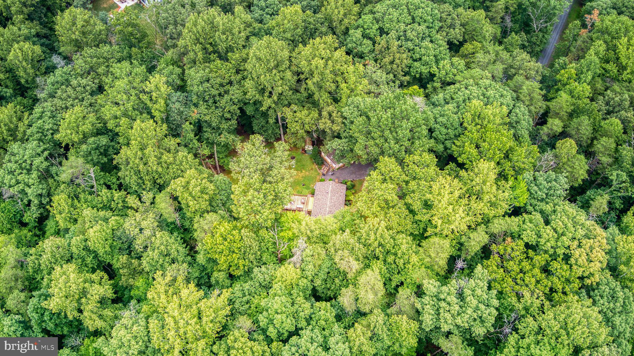 FOREST WALK - Residential