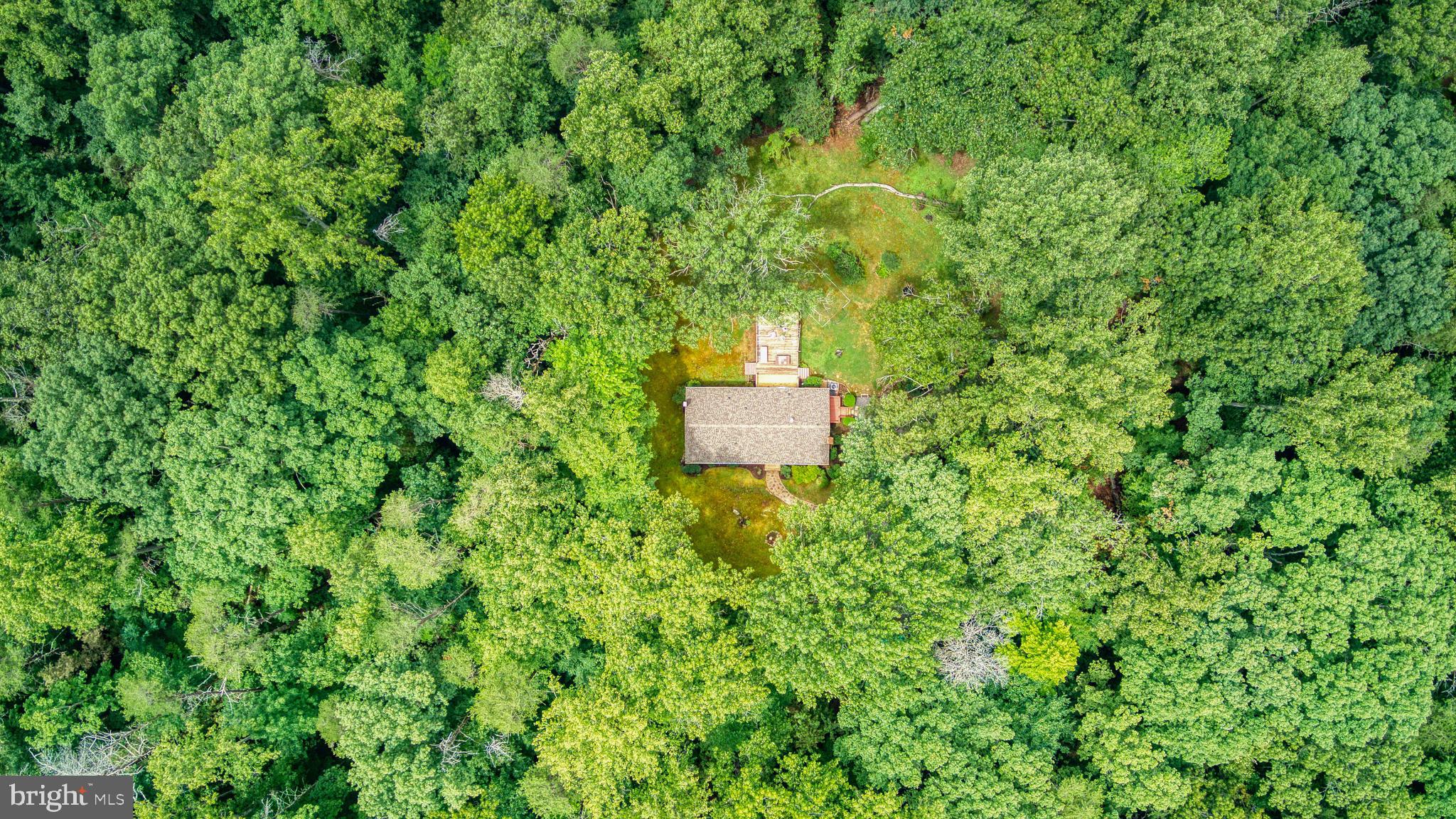 FOREST WALK - Residential