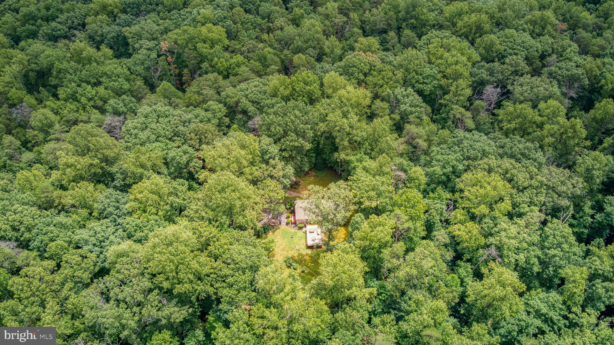 FOREST WALK - Residential