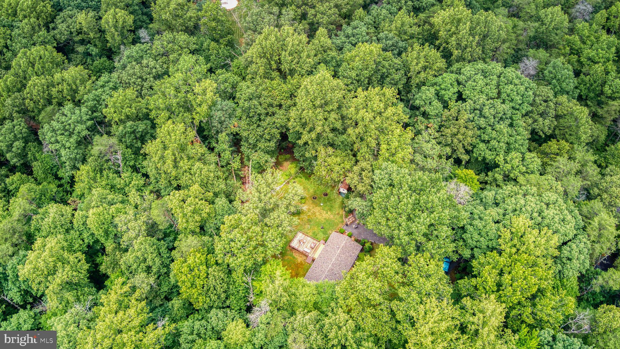 FOREST WALK - Residential