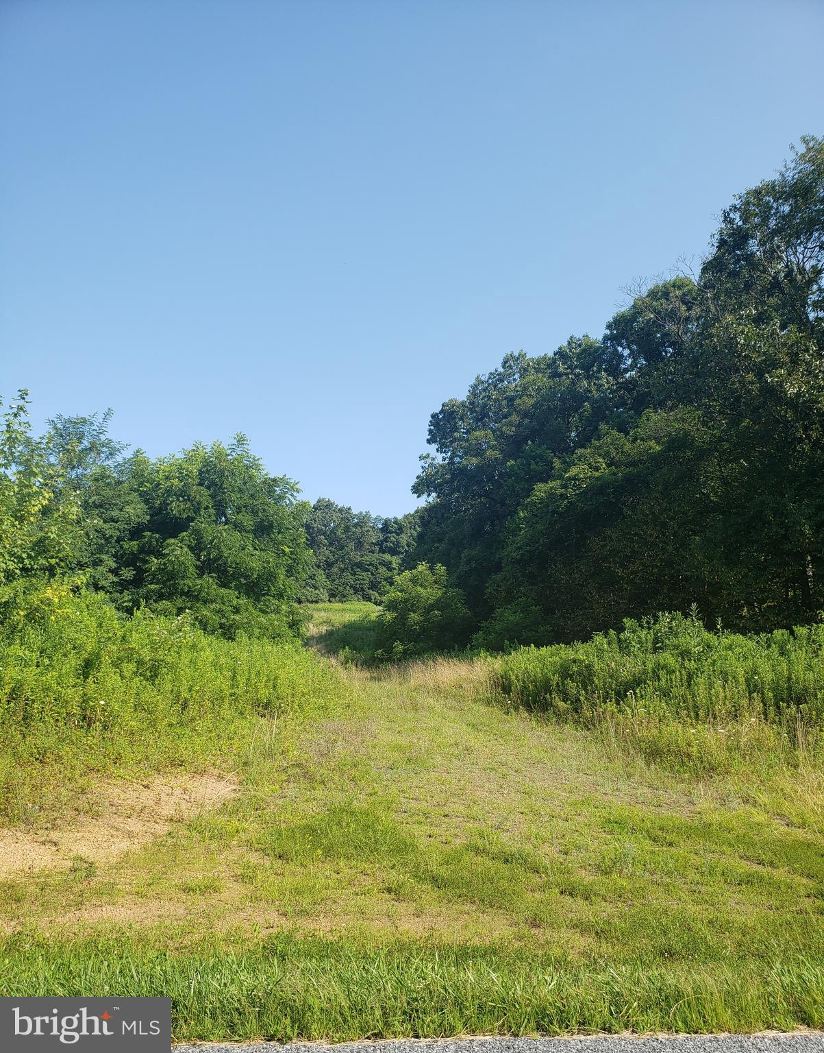 Beautiful  land just off rural road, perk test done and a driveway cut in to land.