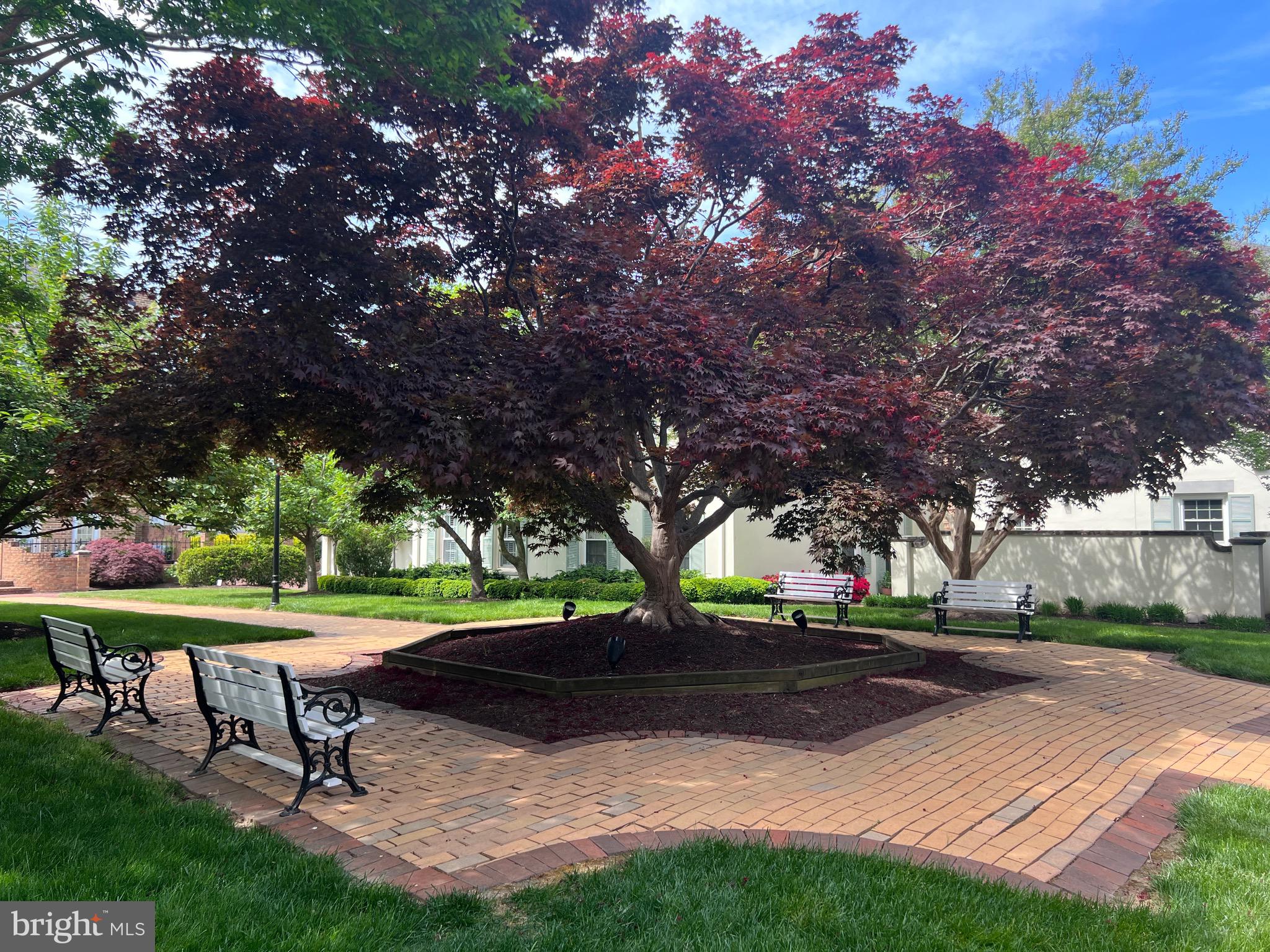 WATERGATE OF ALEXANDRIA - Residential Lease