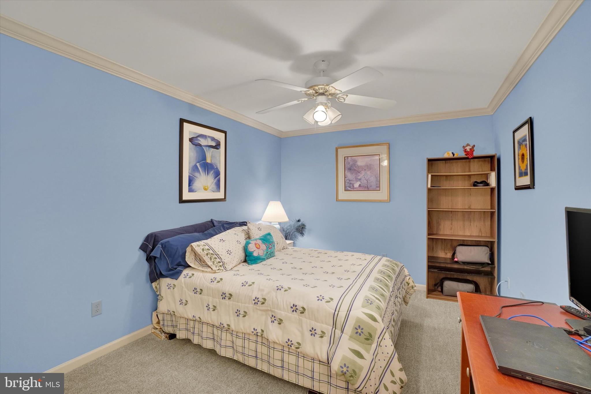 EQUINE MEADOWS - Residential